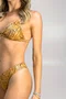 Sutiã Biquíni Laguna Animal Print Marrom